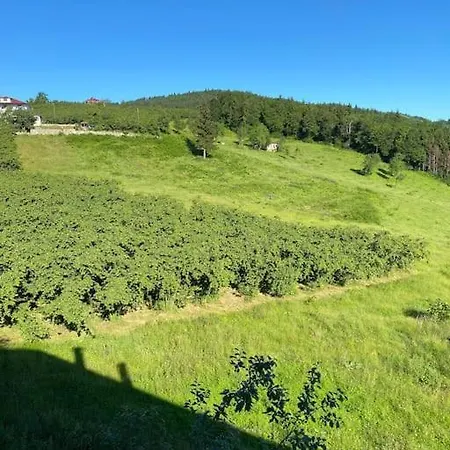 Garden Вилла *